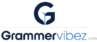 grammervibez logo
