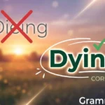 dieing or dying