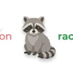 racoon or raccoon