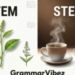stem or steam