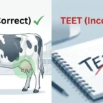 Teet or Teat