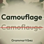 Camouflage or Camoflauge