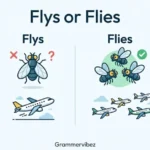 flys or flies
