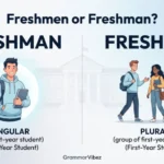 Freshmen or Freshman