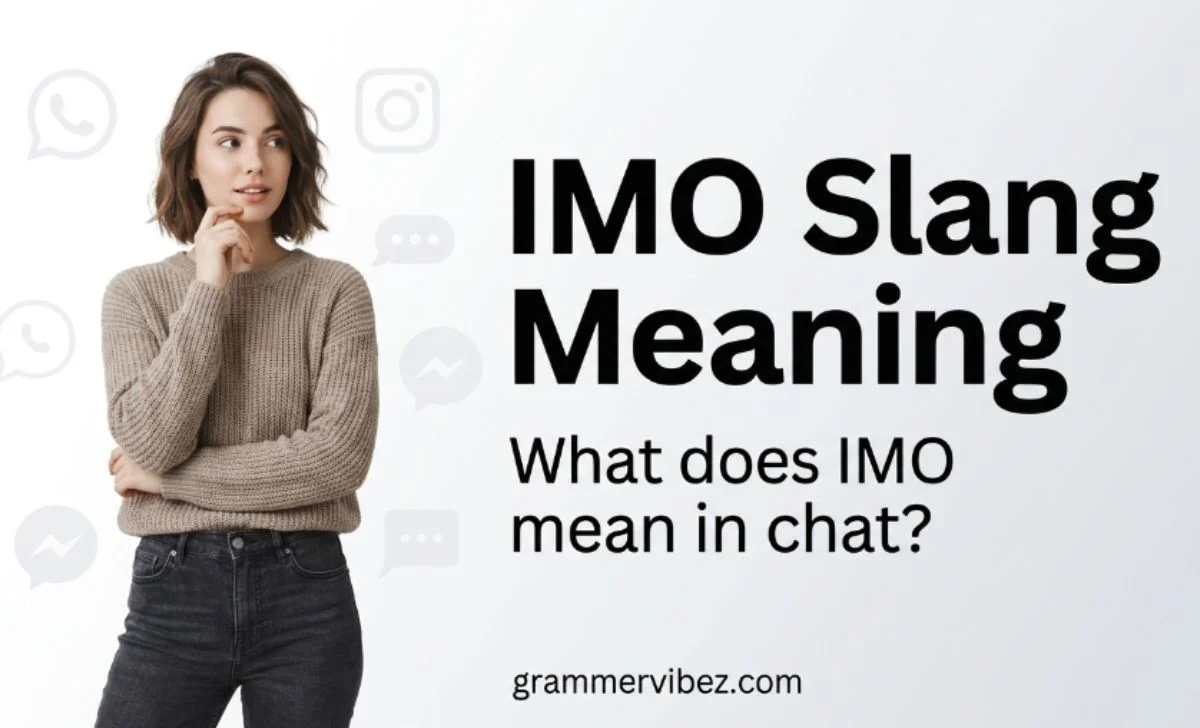 IMO slang meaning