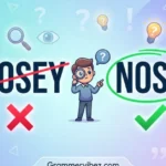 nosey or nosy