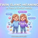 twin slang meaning